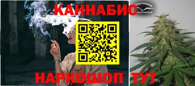 spice Пенза